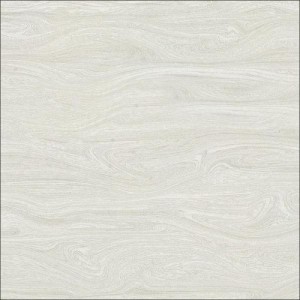 Gạch lát sàn Trường Thịnh ART & STYLE G31209